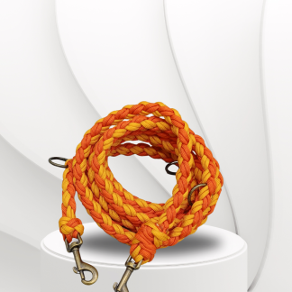 Parachute Cord Leine Sunset