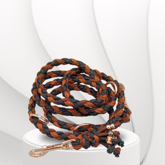 Parachute Cord Leine Rost