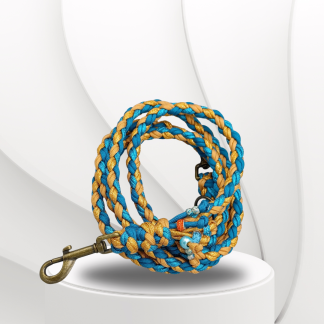 Parachute Cord Leine Orange Ocean