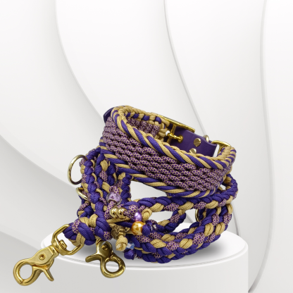 Parachute Cord Leine Golden Night – Bild 3